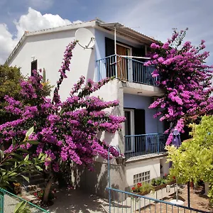 Irena Trogir